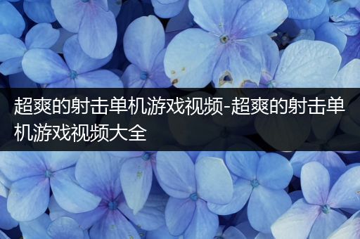 超爽的射击单机游戏视频-超爽的射击单机游戏视频大全