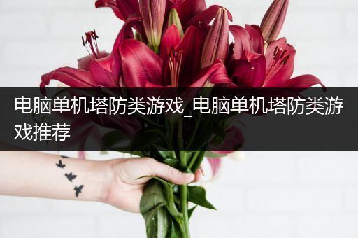 电脑单机塔防类游戏_电脑单机塔防类游戏推荐