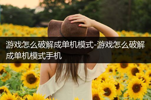 游戏怎么破解成单机模式-游戏怎么破解成单机模式手机