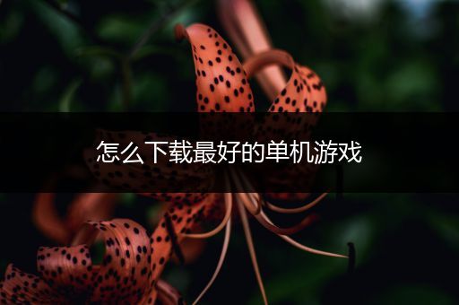 怎么下载最好的单机游戏