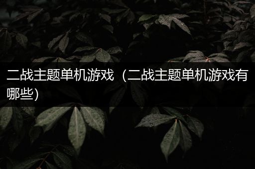二战主题单机游戏（二战主题单机游戏有哪些）