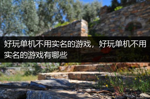 好玩单机不用实名的游戏，好玩单机不用实名的游戏有哪些