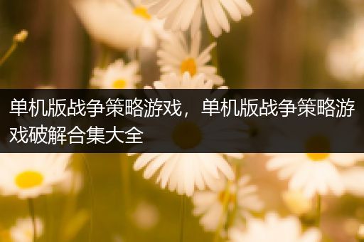 单机版战争策略游戏，单机版战争策略游戏破解合集大全