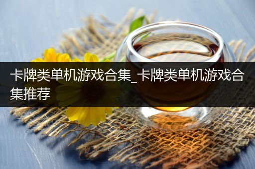卡牌类单机游戏合集_卡牌类单机游戏合集推荐