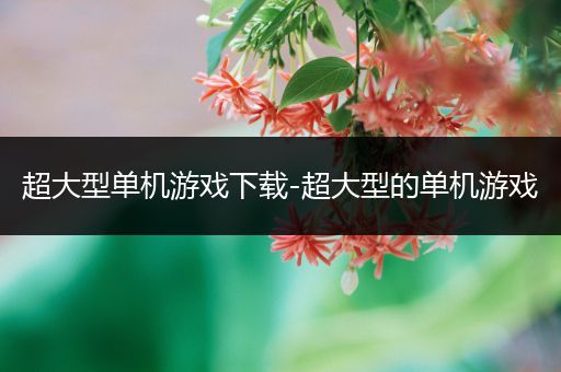 超大型单机游戏下载-超大型的单机游戏