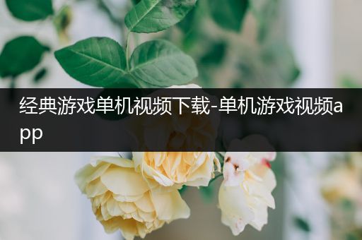 经典游戏单机视频下载-单机游戏视频app