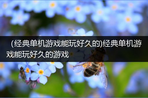 （经典单机游戏能玩好久的)经典单机游戏能玩好久的游戏