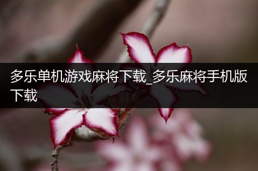 多乐单机游戏麻将下载_多乐麻将手机版下载