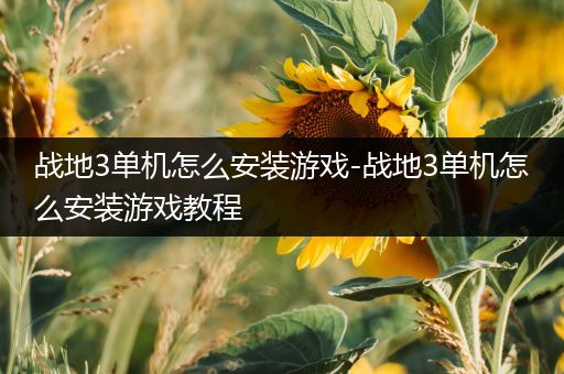 战地3单机怎么安装游戏-战地3单机怎么安装游戏教程