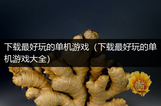 下载最好玩的单机游戏（下载最好玩的单机游戏大全）