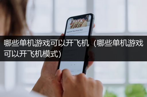 哪些单机游戏可以开飞机（哪些单机游戏可以开飞机模式）