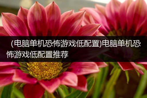 （电脑单机恐怖游戏低配置)电脑单机恐怖游戏低配置推荐