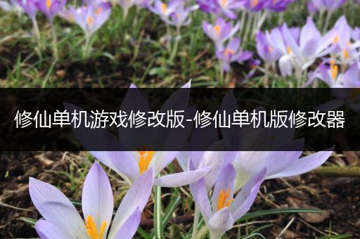 修仙单机游戏修改版-修仙单机版修改器