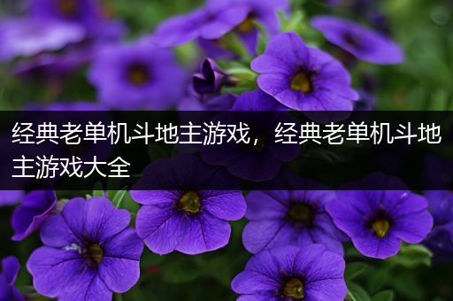 经典老单机斗地主游戏，经典老单机斗地主游戏大全
