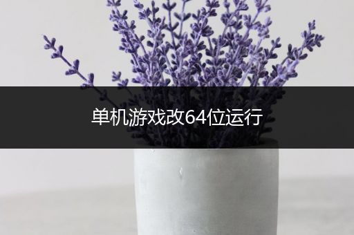 单机游戏改64位运行