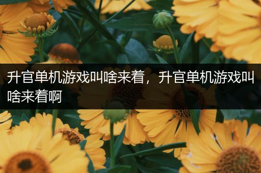 升官单机游戏叫啥来着，升官单机游戏叫啥来着啊