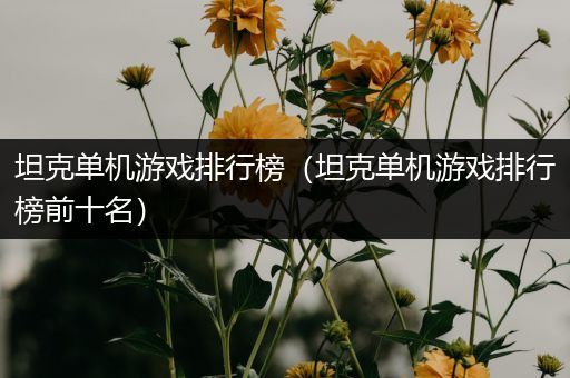 坦克单机游戏排行榜（坦克单机游戏排行榜前十名）