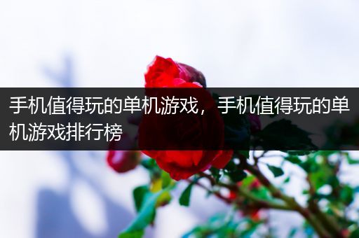 手机值得玩的单机游戏，手机值得玩的单机游戏排行榜