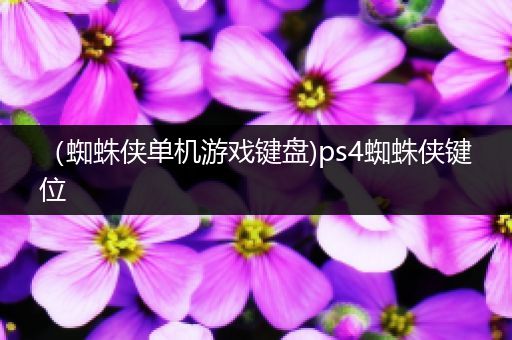 （蜘蛛侠单机游戏键盘)ps4蜘蛛侠键位