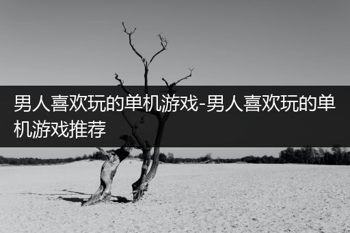 男人喜欢玩的单机游戏-男人喜欢玩的单机游戏推荐