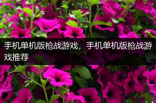 手机单机版枪战游戏，手机单机版枪战游戏推荐