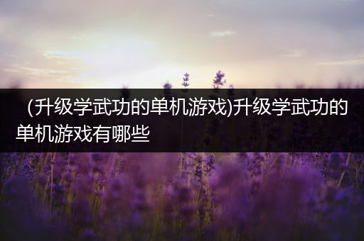 （升级学武功的单机游戏)升级学武功的单机游戏有哪些
