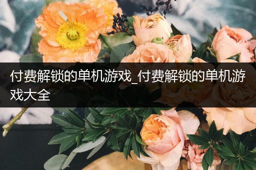 付费解锁的单机游戏_付费解锁的单机游戏大全