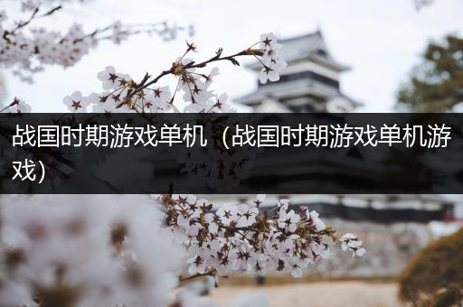 战国时期游戏单机（战国时期游戏单机游戏）