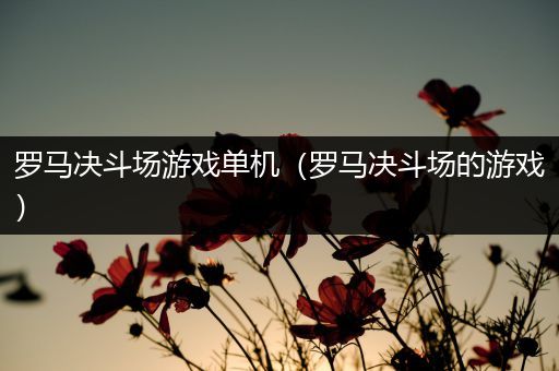 罗马决斗场游戏单机（罗马决斗场的游戏）