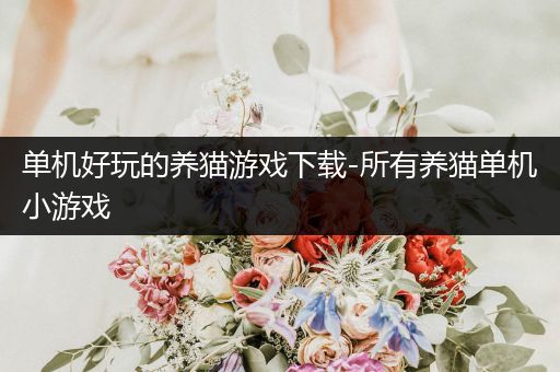 单机好玩的养猫游戏下载-所有养猫单机小游戏