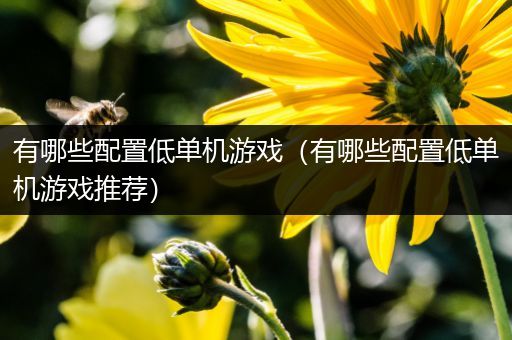 有哪些配置低单机游戏（有哪些配置低单机游戏推荐）