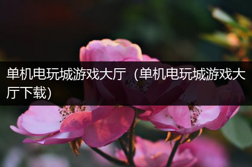 单机电玩城游戏大厅（单机电玩城游戏大厅下载）