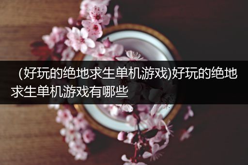 （好玩的绝地求生单机游戏)好玩的绝地求生单机游戏有哪些