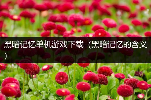 黑暗记忆单机游戏下载（黑暗记忆的含义）