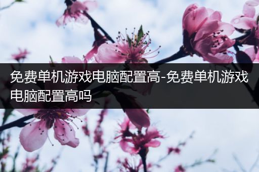 免费单机游戏电脑配置高-免费单机游戏电脑配置高吗