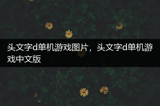 头文字d单机游戏图片，头文字d单机游戏中文版