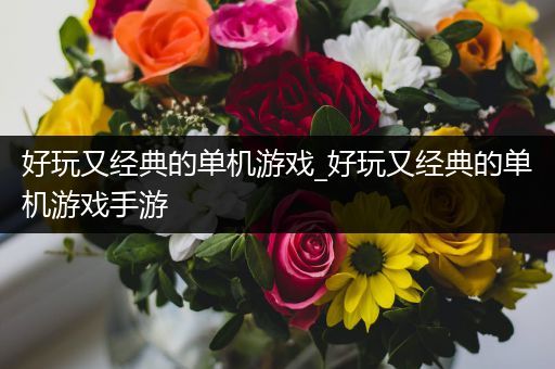 好玩又经典的单机游戏_好玩又经典的单机游戏手游
