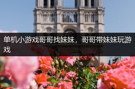 单机小游戏哥哥找妹妹，哥哥带妹妹玩游戏