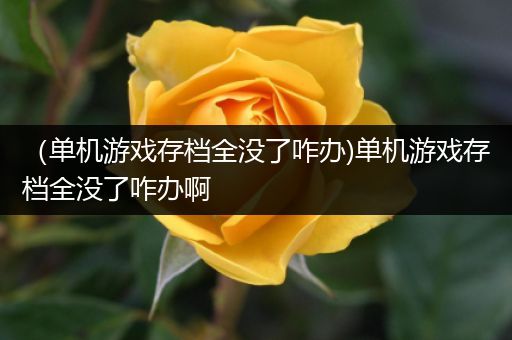 （单机游戏存档全没了咋办)单机游戏存档全没了咋办啊