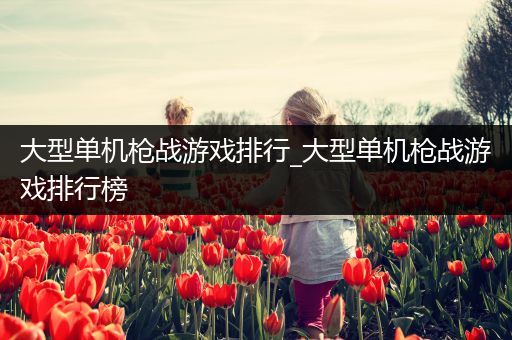 大型单机枪战游戏排行_大型单机枪战游戏排行榜