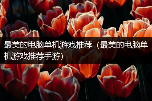 最美的电脑单机游戏推荐（最美的电脑单机游戏推荐手游）