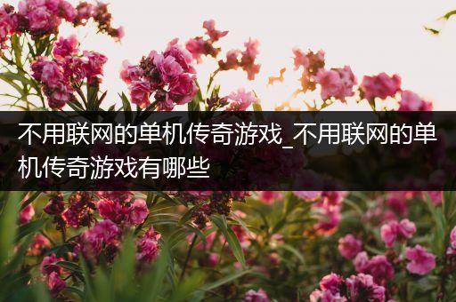 不用联网的单机传奇游戏_不用联网的单机传奇游戏有哪些