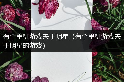 有个单机游戏关于明星（有个单机游戏关于明星的游戏）