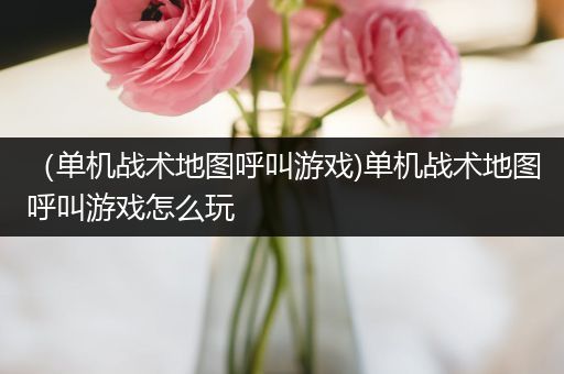 （单机战术地图呼叫游戏)单机战术地图呼叫游戏怎么玩