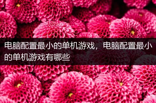 电脑配置最小的单机游戏，电脑配置最小的单机游戏有哪些