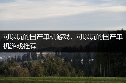 可以玩的国产单机游戏，可以玩的国产单机游戏推荐