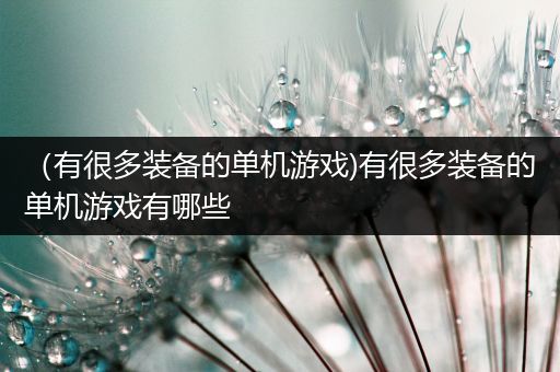 （有很多装备的单机游戏)有很多装备的单机游戏有哪些