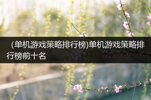 （单机游戏策略排行榜)单机游戏策略排行榜前十名