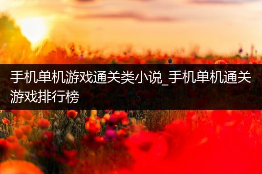 手机单机游戏通关类小说_手机单机通关游戏排行榜