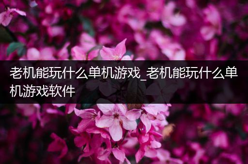 老机能玩什么单机游戏_老机能玩什么单机游戏软件